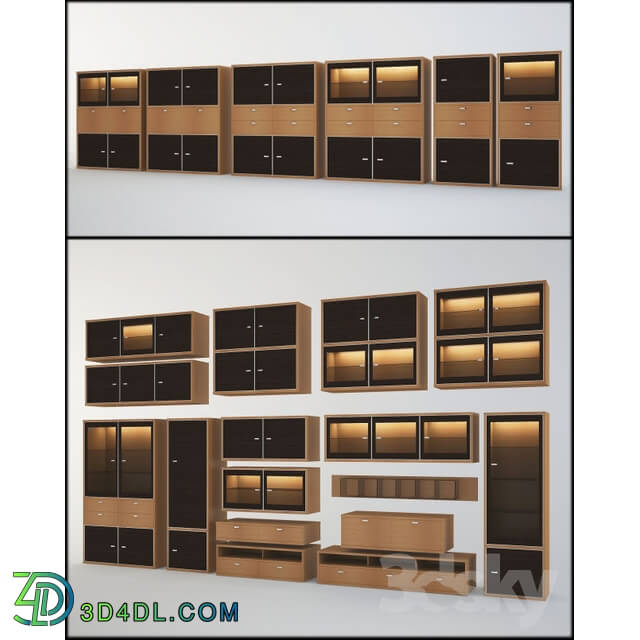 Wardrobe _ Display cabinets - Dyatkovo _Victoria_