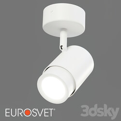 OM Wall lamp Eurosvet 20124/1 Morgan 