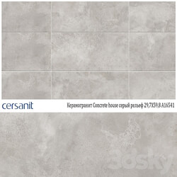 Porcelain tile CERSANIT Concrete house gray relief 29 7X59 8 A16541 3D Models 