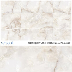 Porcelain tile CERSANIT Cameo beige 29 7X59 8 A16523 3D Models 
