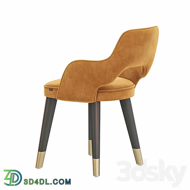 XAZAL dining chair 3D Models