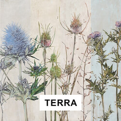 TERRA 