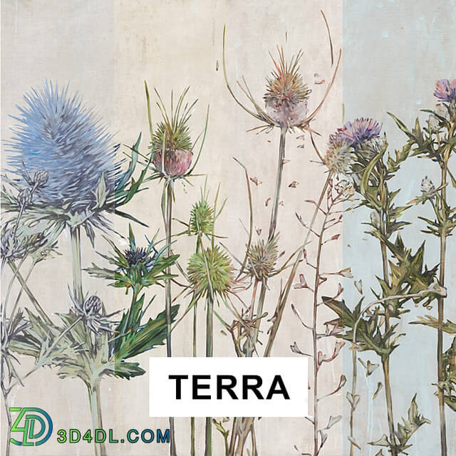 TERRA