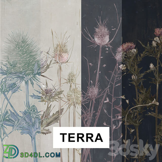 TERRA