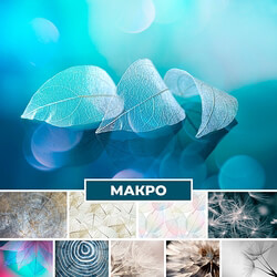 Wallpaper. Collection Macro 3D Models 