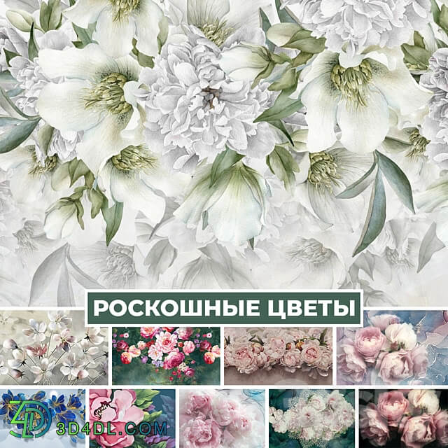 Wallpaper. Collection Luxurious flowers 3D Models