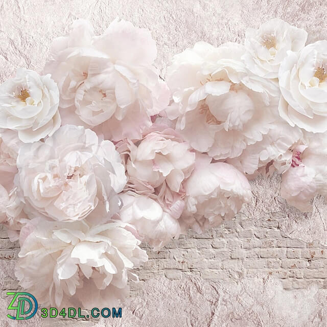 Wallpaper. Collection Luxurious flowers 3D Models