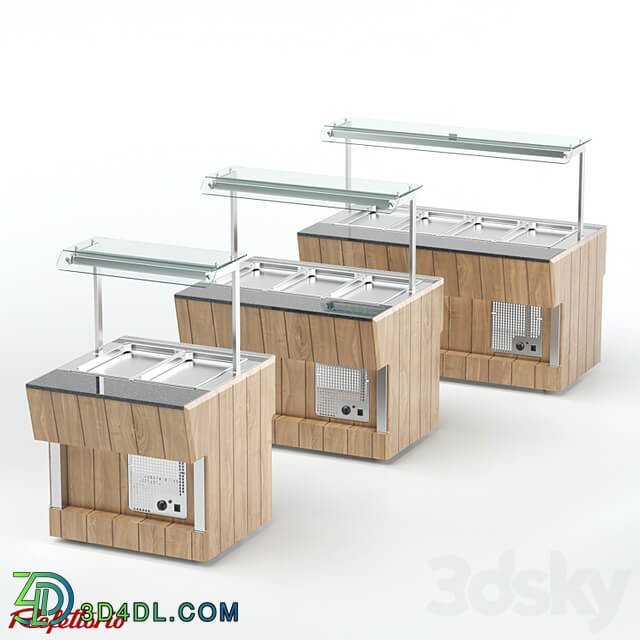 Food warmer for second courses (series RM4 P ШС Capital