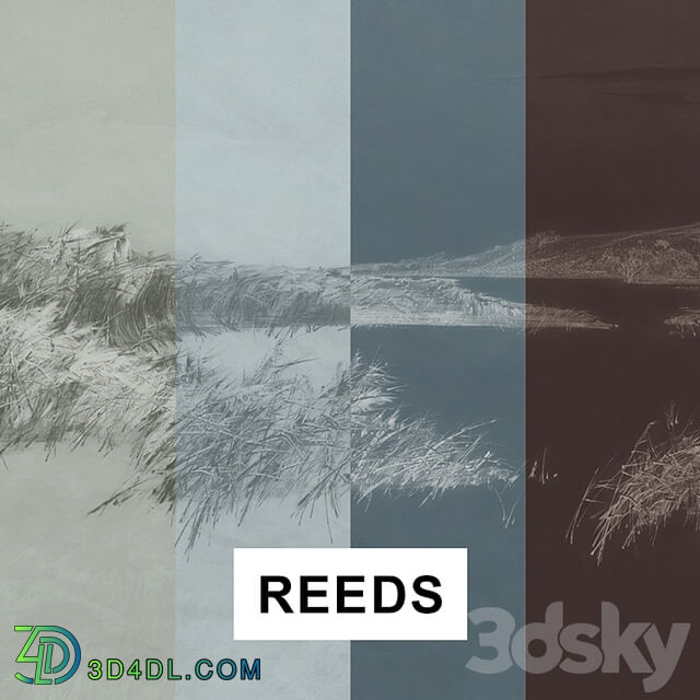 REEDS