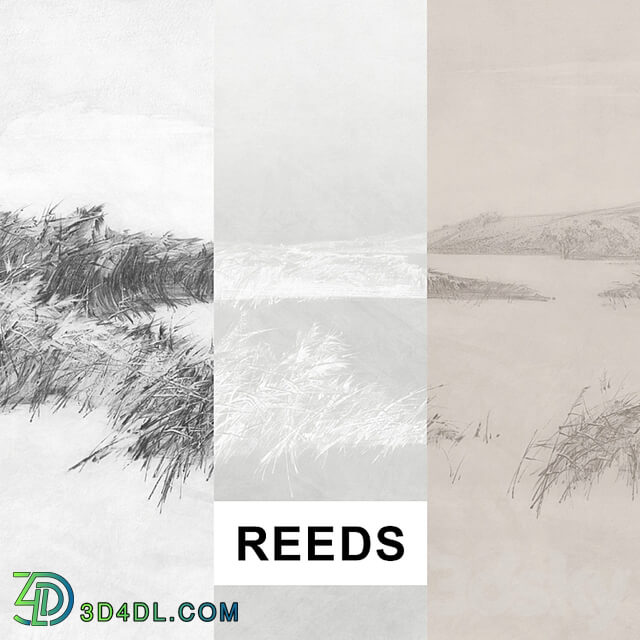 REEDS