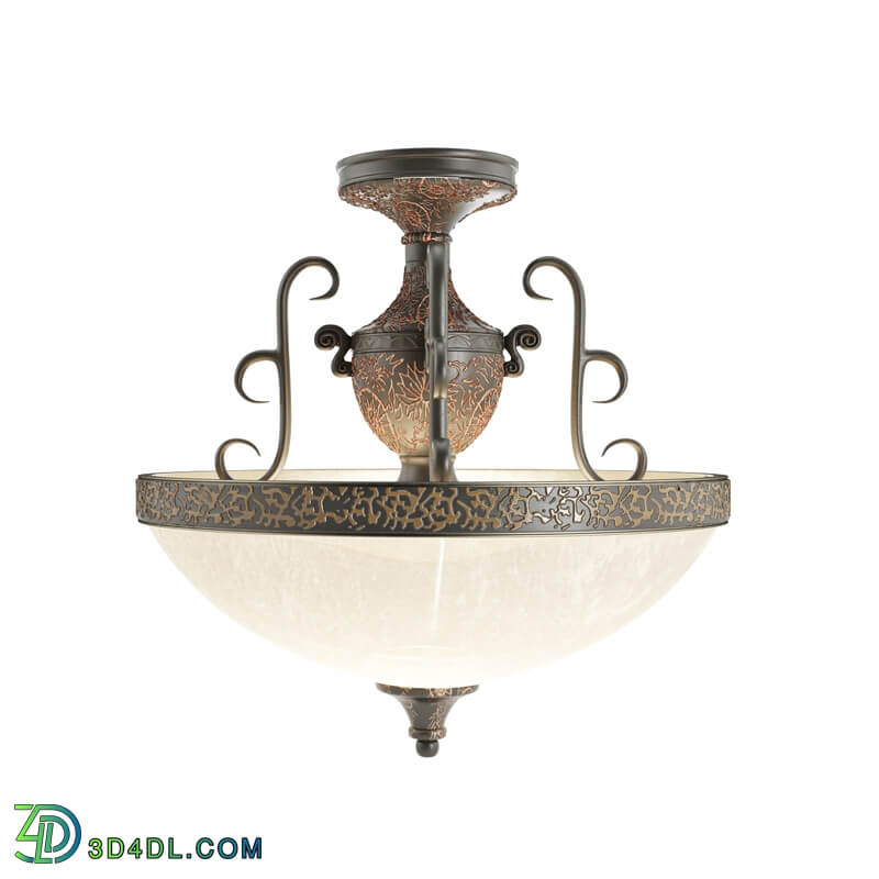 Ceiling light zV3GtcLa