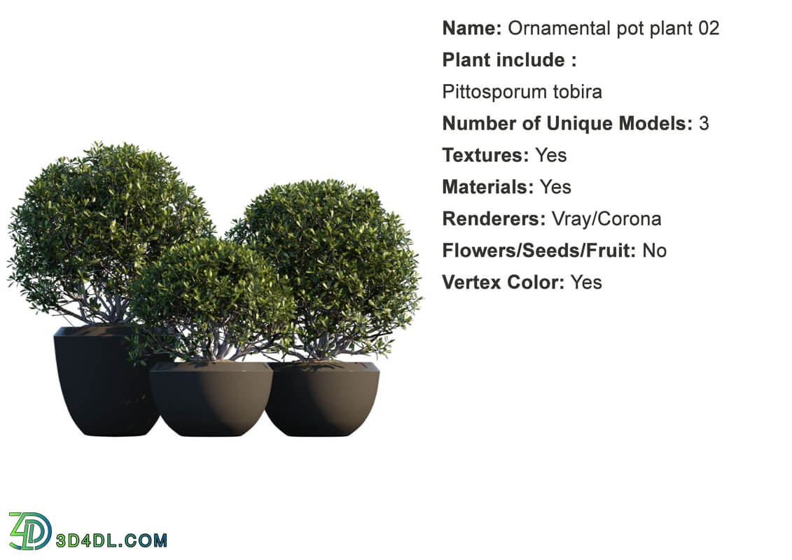 Globe Plants Vol 01 Ornamental plant pot 02