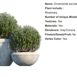 Globe Plants Vol 01 Ornamental plant pot 04 