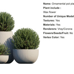 Globe Plants Vol 01 Ornamental plant pot 06 