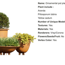 Globe Plants Vol 01 Ornamental plant pot 07 