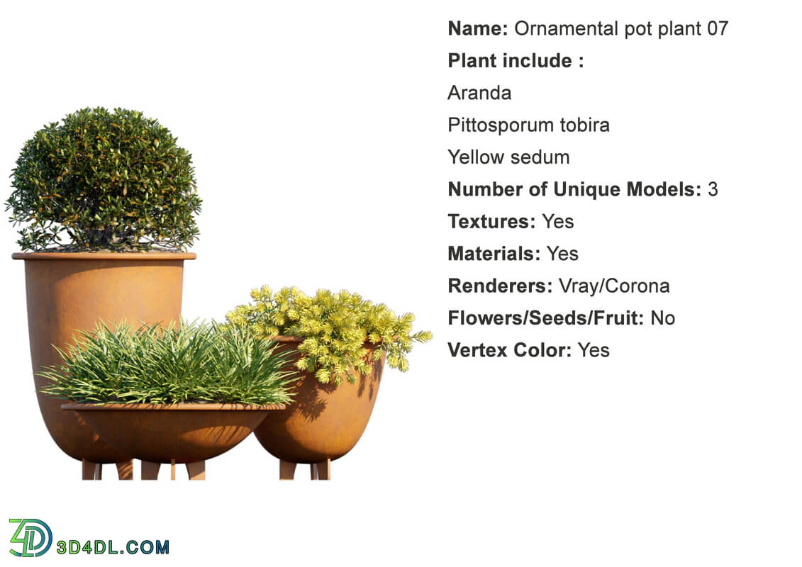 Globe Plants Vol 01 Ornamental plant pot 07