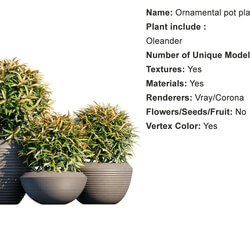 Globe Plants Vol 01 Ornamental plant pot 08 