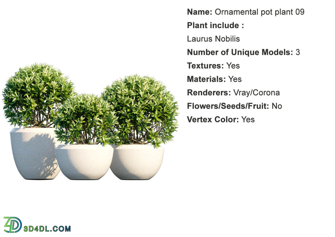 Globe Plants Vol 01 Ornamental plant pot 09