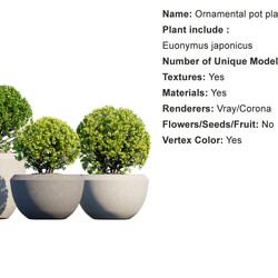 Globe Plants Vol 01 Ornamental plant pot 11 