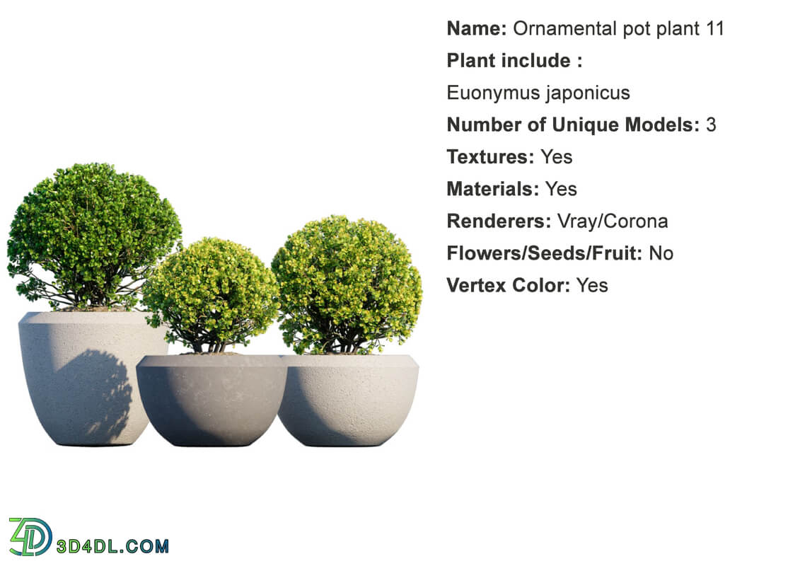 Globe Plants Vol 01 Ornamental plant pot 11