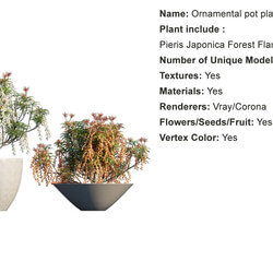 Globe Plants Vol 01 Ornamental plant pot 12 