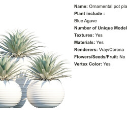 Globe Plants Vol 01 Ornamental plant pot 13 