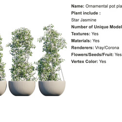 Globe Plants Vol 01 Ornamental plant pot 15 