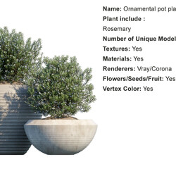 Globe Plants Vol 01 Ornamental plant pot 17 