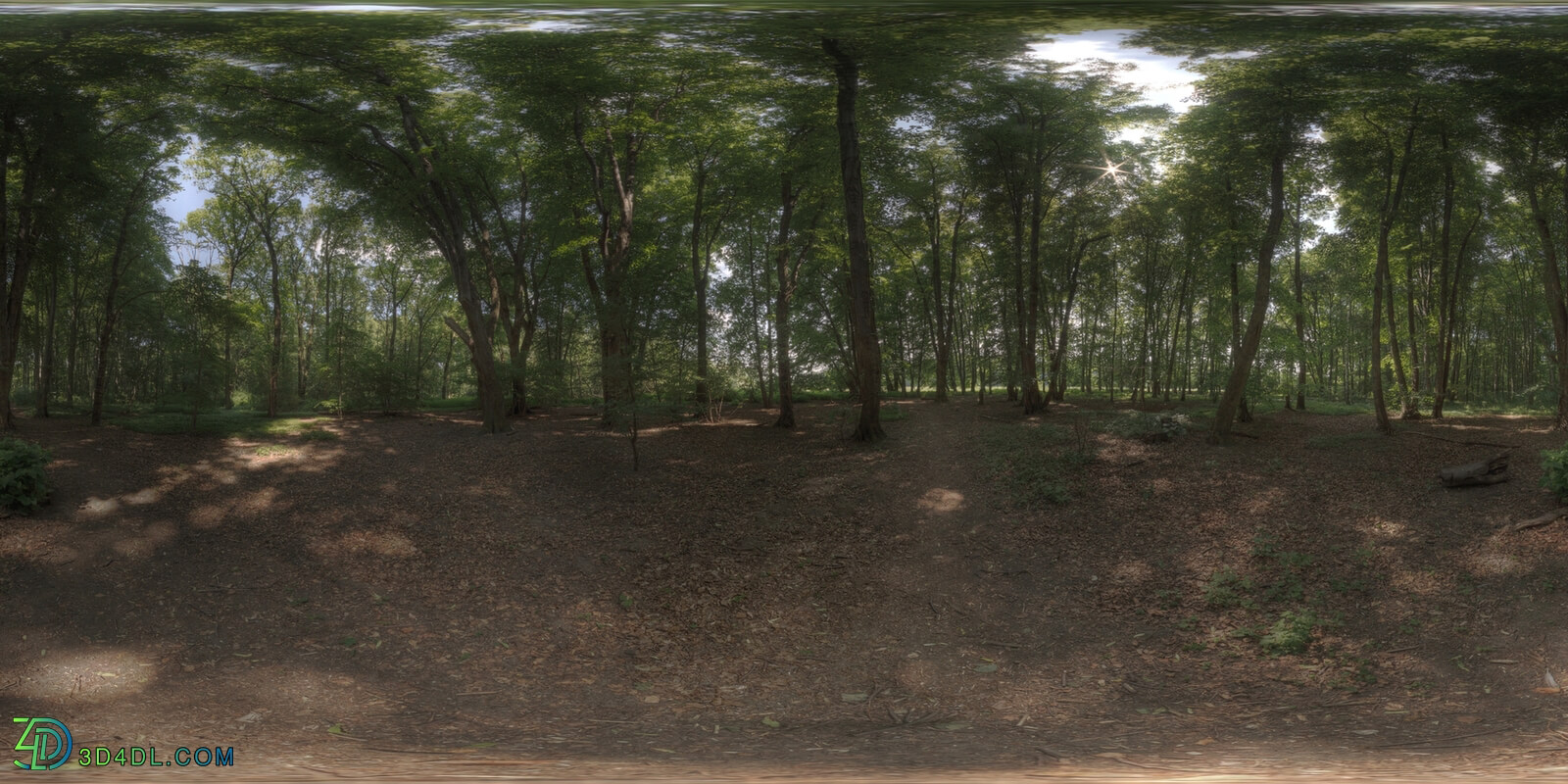 Hdri Hub 116 Forest