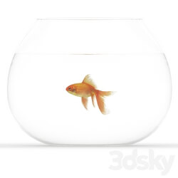 Golden fish 3D Models 