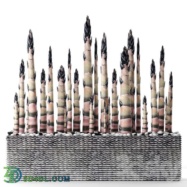 Bamboo. Bamboo shoots china japan decorative indoor outdoor pot flowerpot carved stone Indoor 3D Models