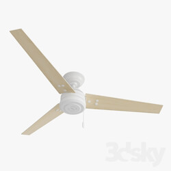 Ceiling Fan Hanter Cassius white with light wood 