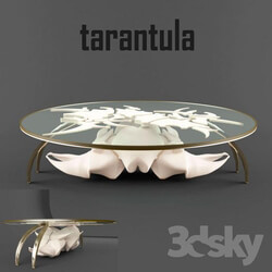 Coffee table tarantula 