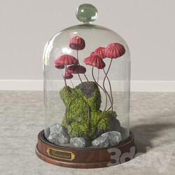 Marasmius Florarium 3D Models 