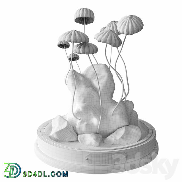 Marasmius Florarium 3D Models