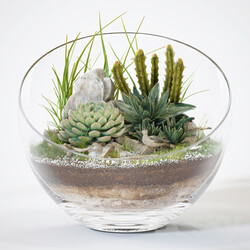 Florarium 3D Models 