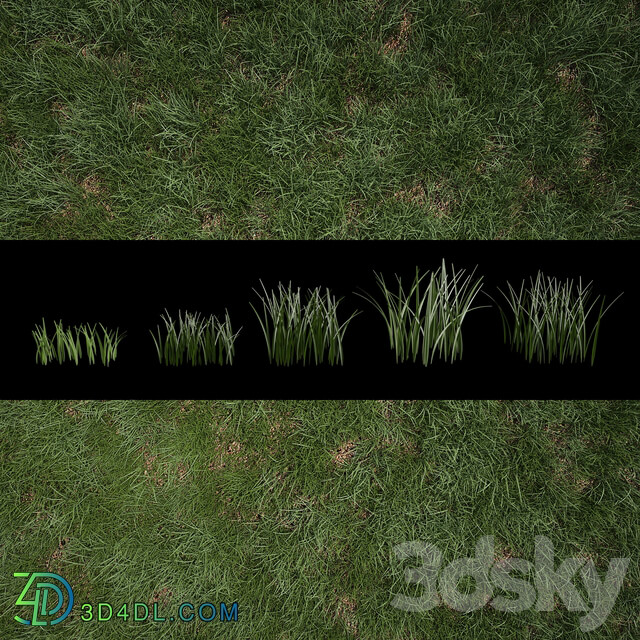 Grass for Exteriors 3D Models