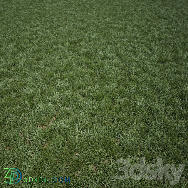 Grass for Exteriors 3D Models