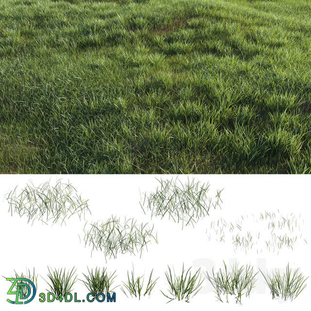 Grass plot