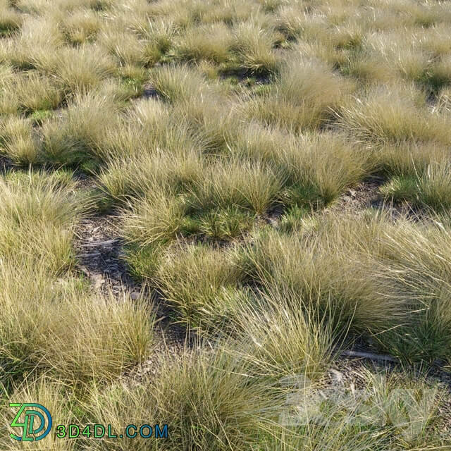 Eskdale grass