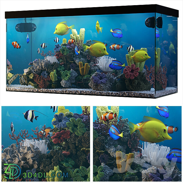 Seawater aquarium