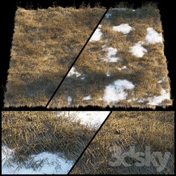 Dry grass Thaw pollen 