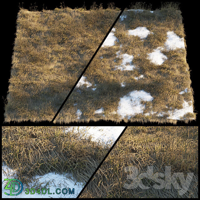 Dry grass Thaw pollen