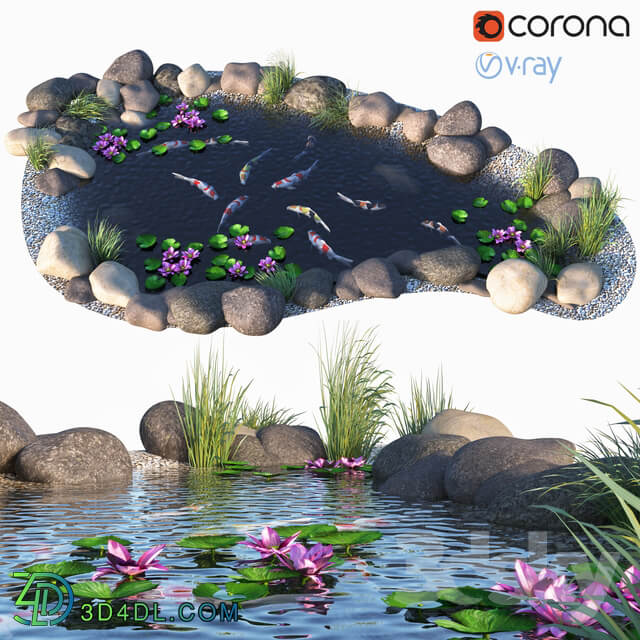 Water Koi fish Environment elements 3D Models