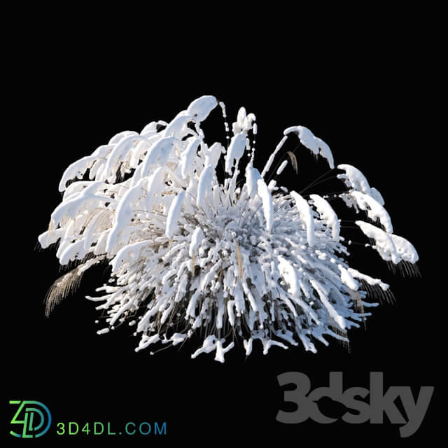 Miscanthus sinensis winter model