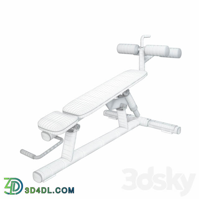 Life Fitness Signature Series Adjustable Abdominal Bench