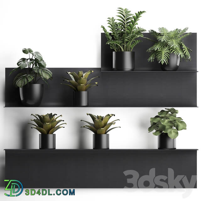 Vertical gardening. 49 3D Models