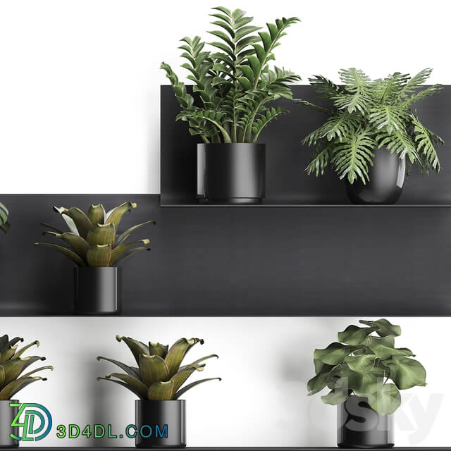 Vertical gardening. 49 3D Models