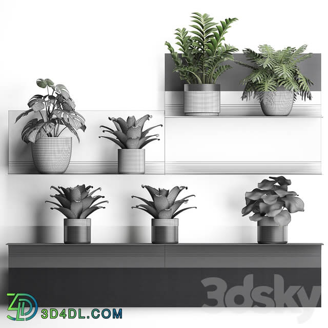 Vertical gardening. 49 3D Models