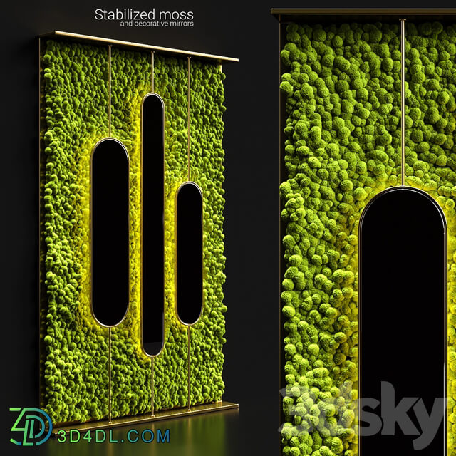 Fitowall Stabilized moss and mirrors